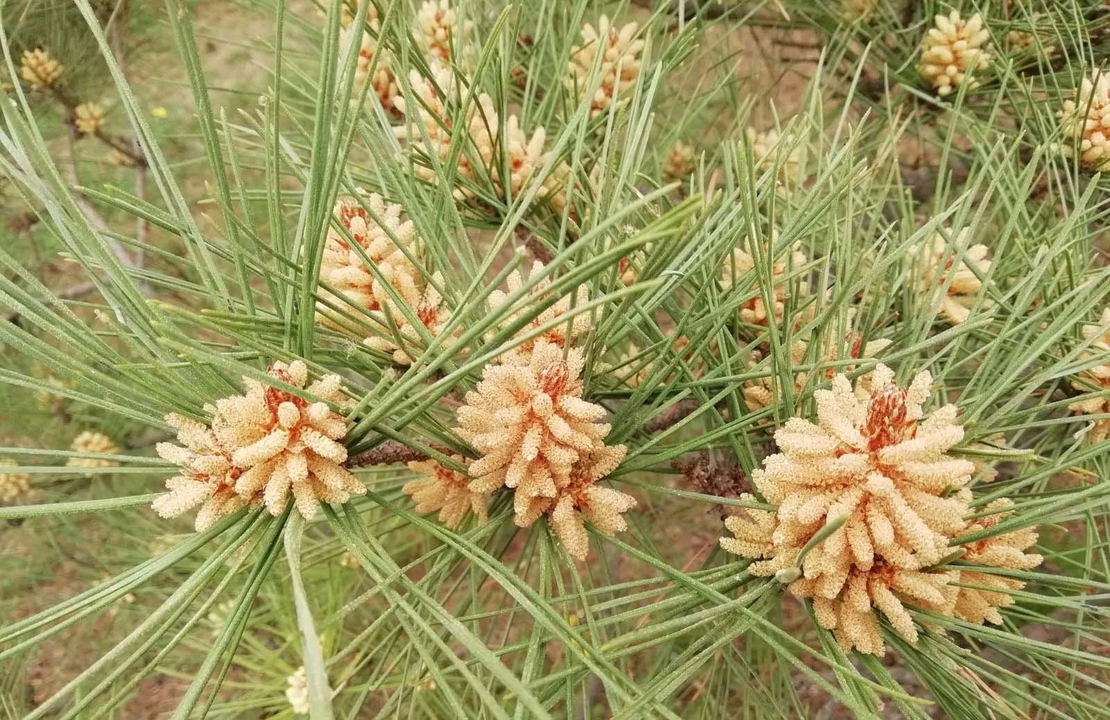 基地蔬菜配送報(bào)價(jià)